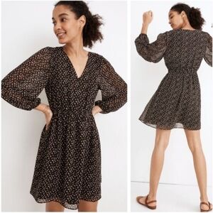 Madewell Long-Sleeve V-Neck Floral Sheer Mini Dress XXS